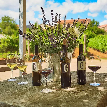 Affittacamere G House 4*